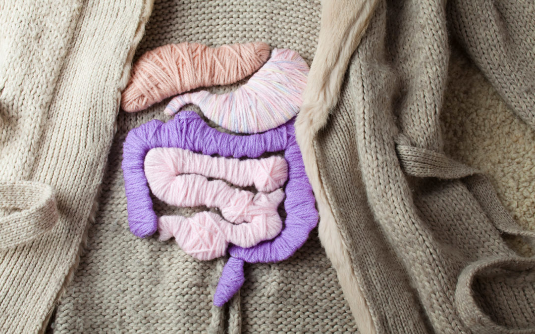 How to Love Your Gut